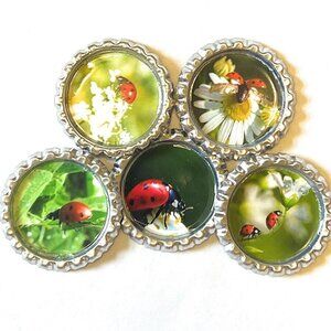 Ladybugs Magnet Set